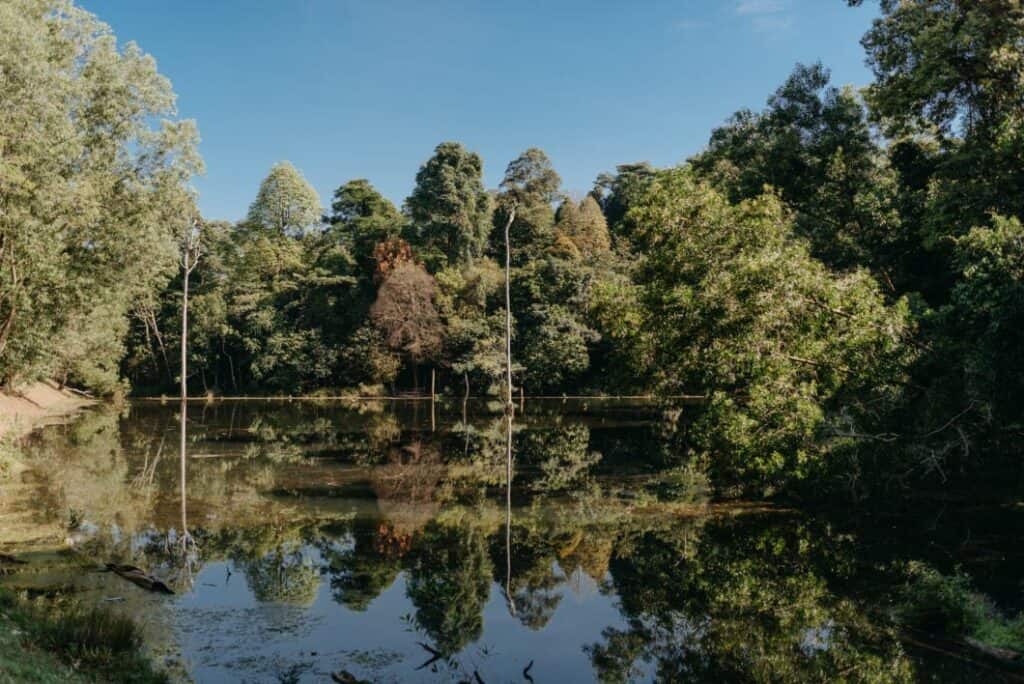 kota damansara lake